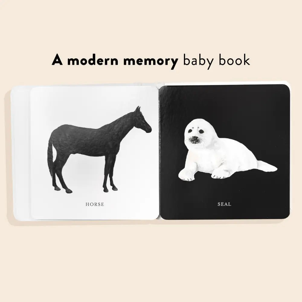 Penguin Random House LLC Babys Black And White Book