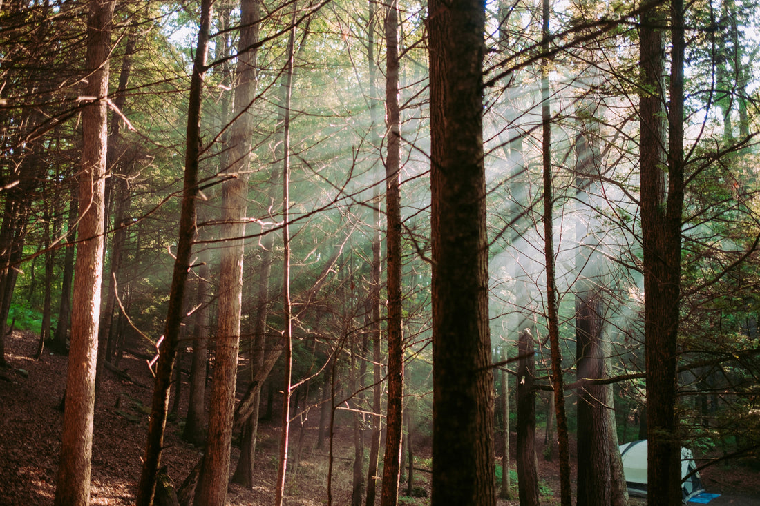 Adventure Mom: How To Stick To A Nap Schedule On A Camping Trip