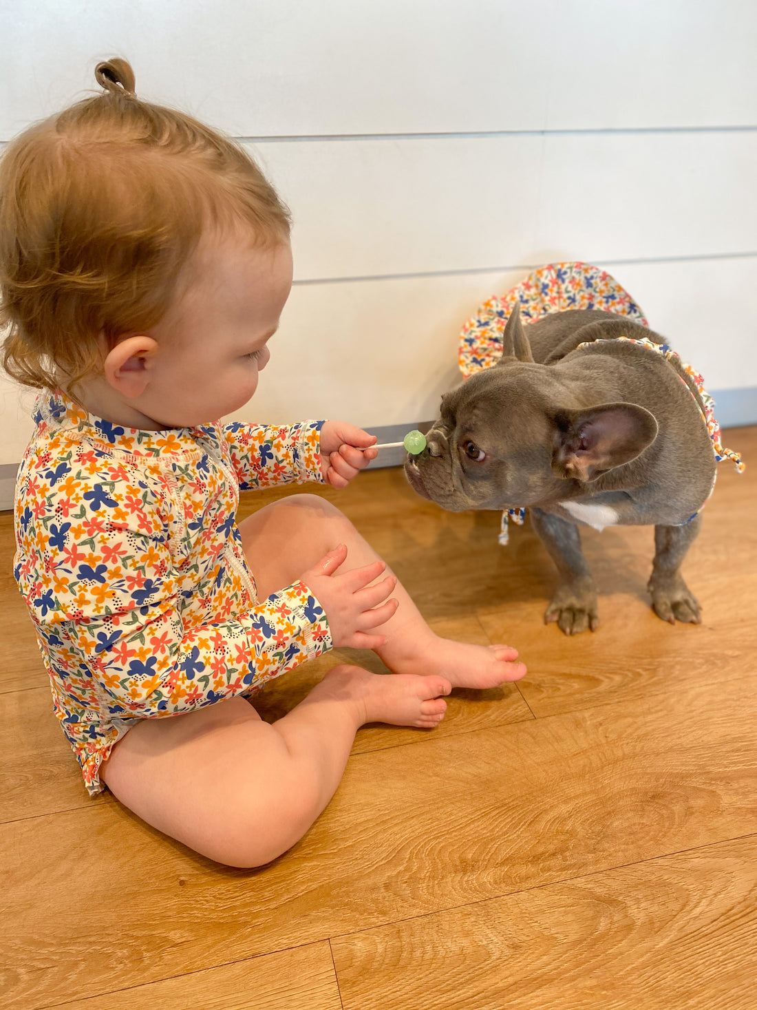 Puppy-and-Me Clothing