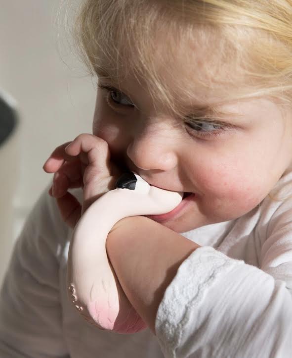 When Will My Baby Start Getting Teeth?
