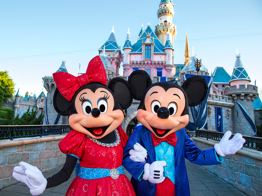 How to Dad: Surviving Disneyland