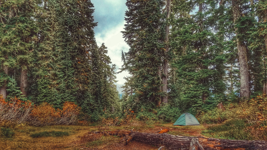 Adventure Mom: A Guide To Hiking Etiquette For Families With Young Children
