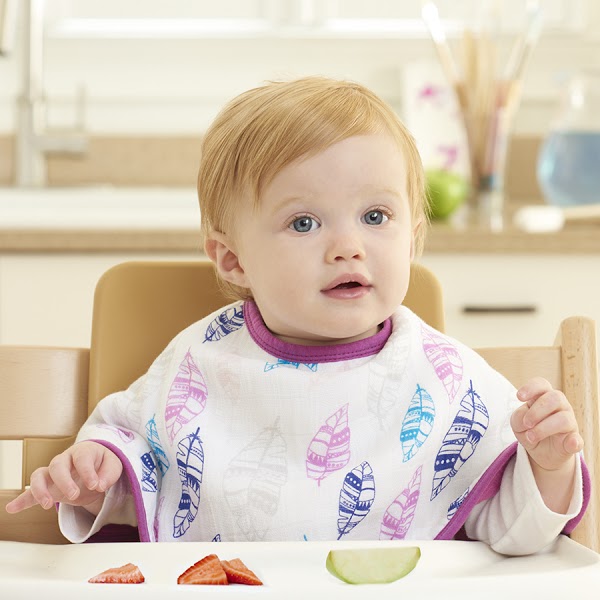 Aden + Anais Swaddles/Bibs