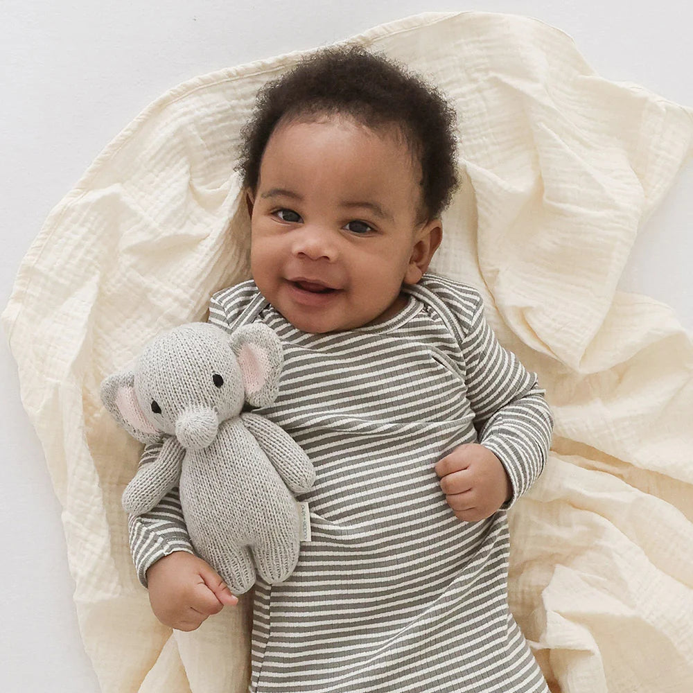 Cuddle and Kind Baby Elephant