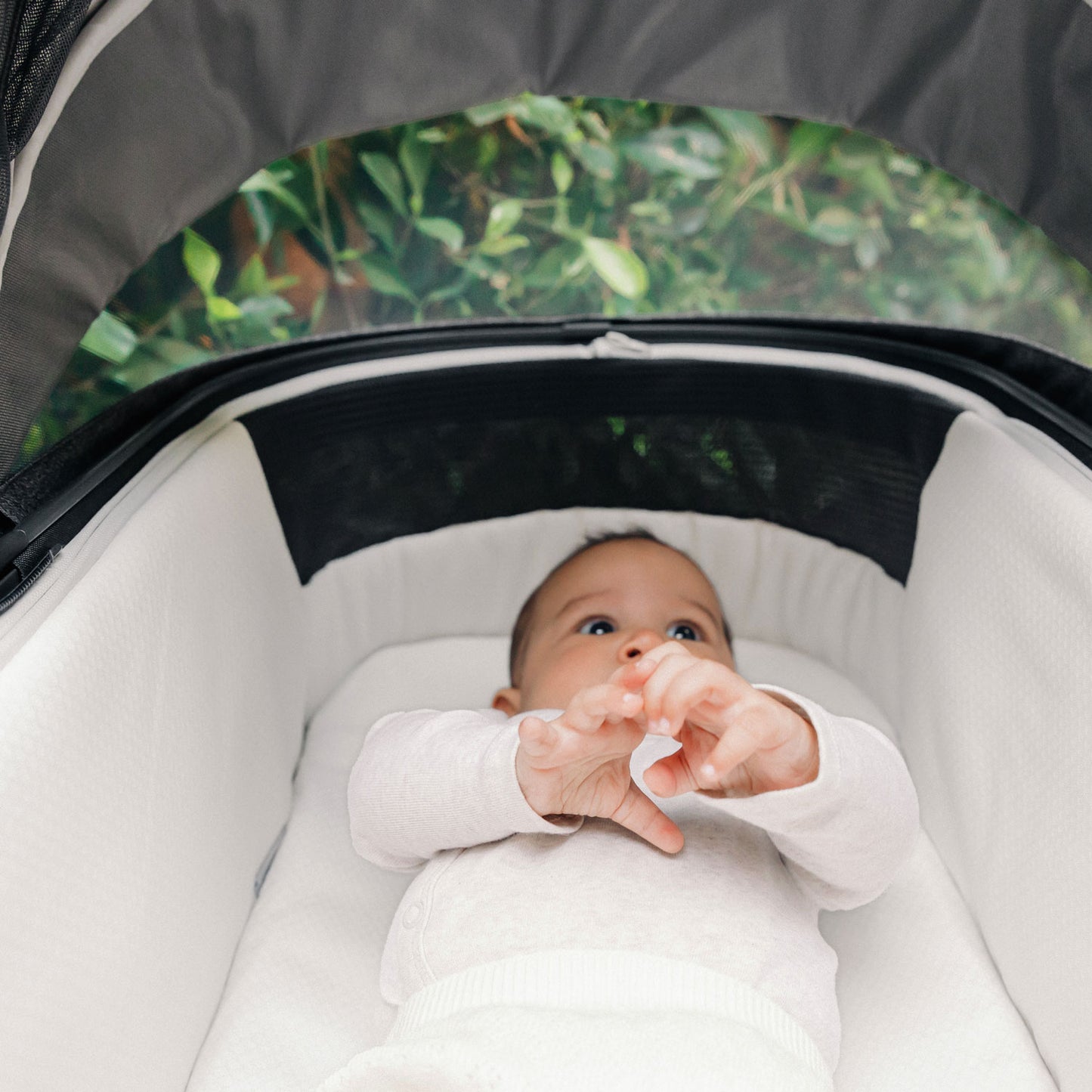 Baby lying in bassinet on top of UPPAbaby New Bassinet Mattress Cover - White