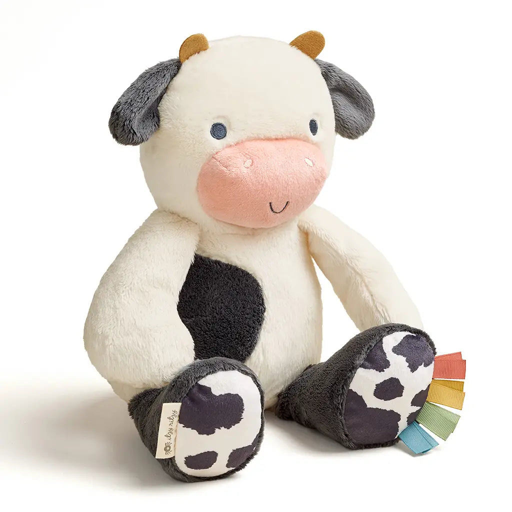 Itzy Ritzy Sweetie Snuggle Plush