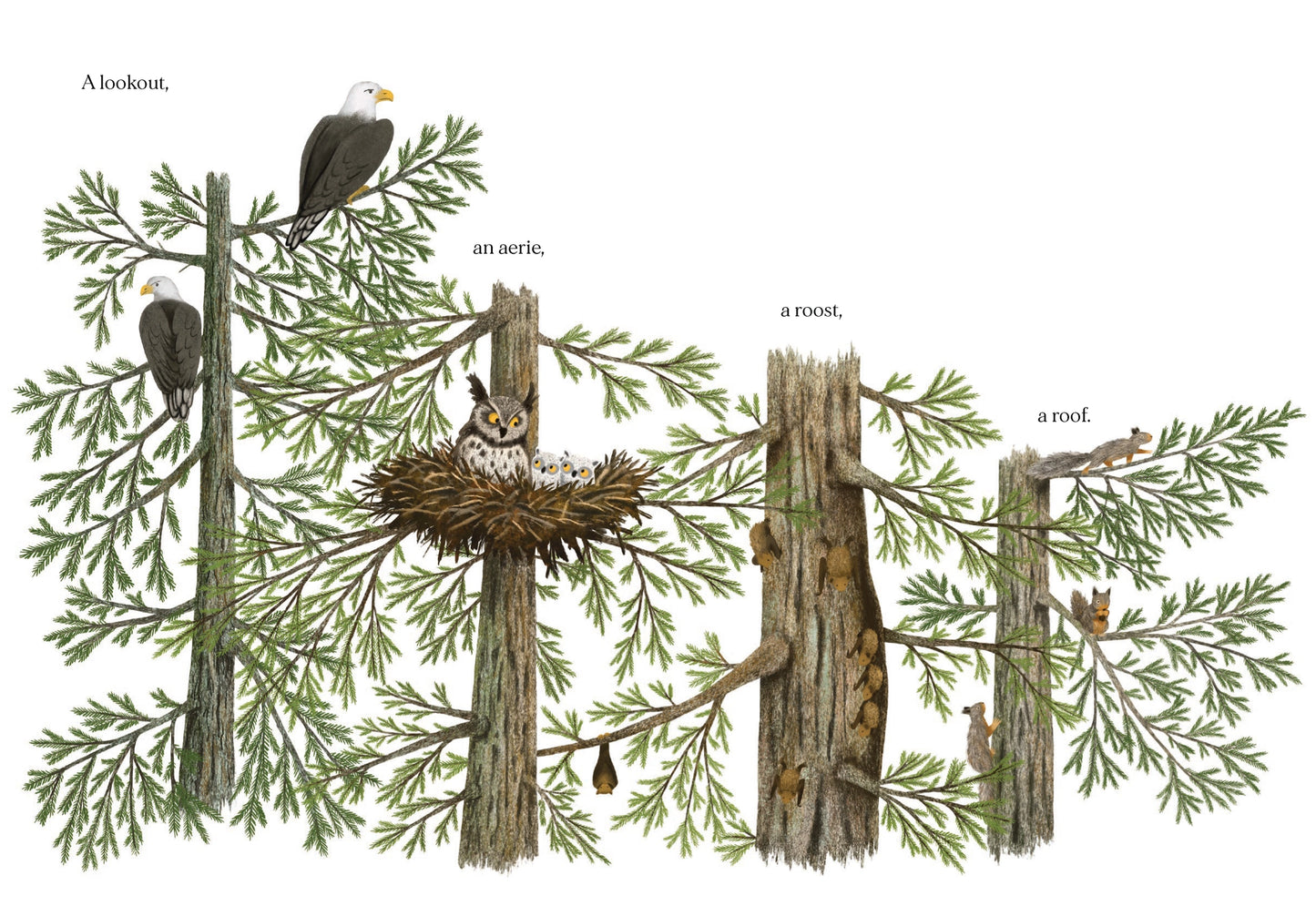 Chronicle Books When A Tree Falls