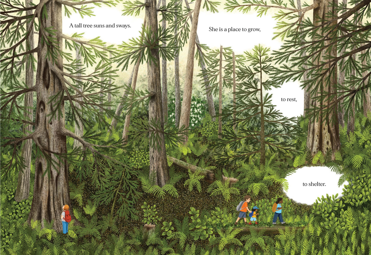 Chronicle Books When A Tree Falls