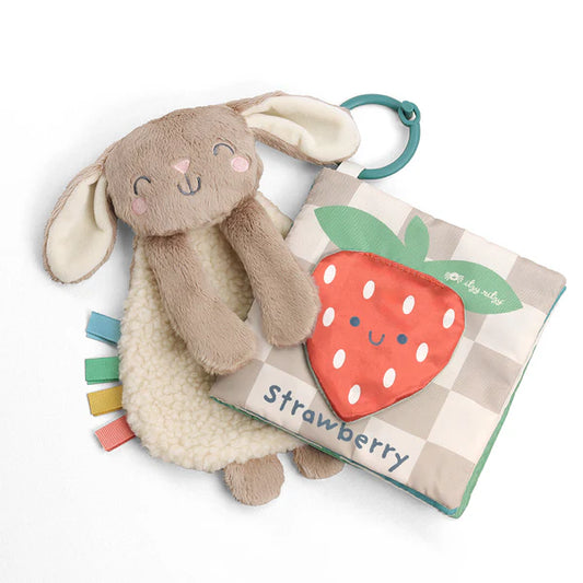 Itzy Ritzy Itzy Learn and Snuggle Gift Set