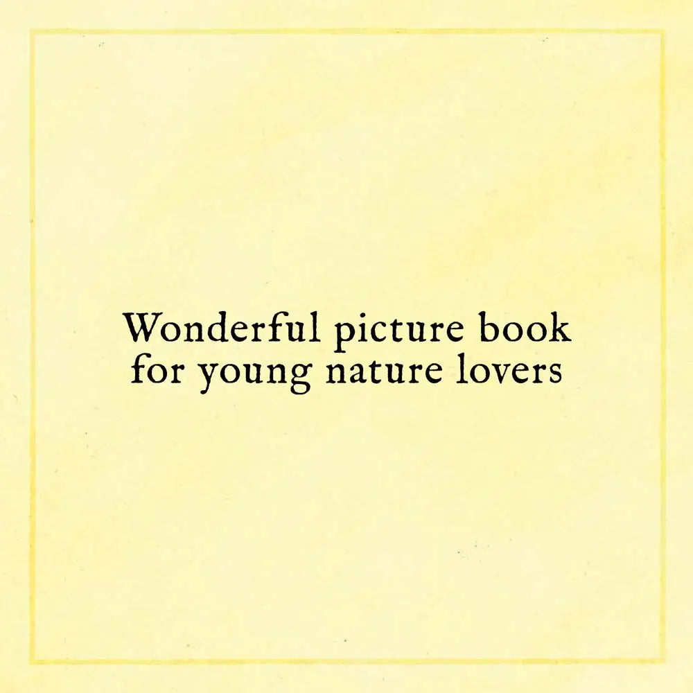 Chronicle Books When You Find the Right Rock