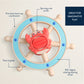 Itzy Ritzy Itzy Captain - Crab