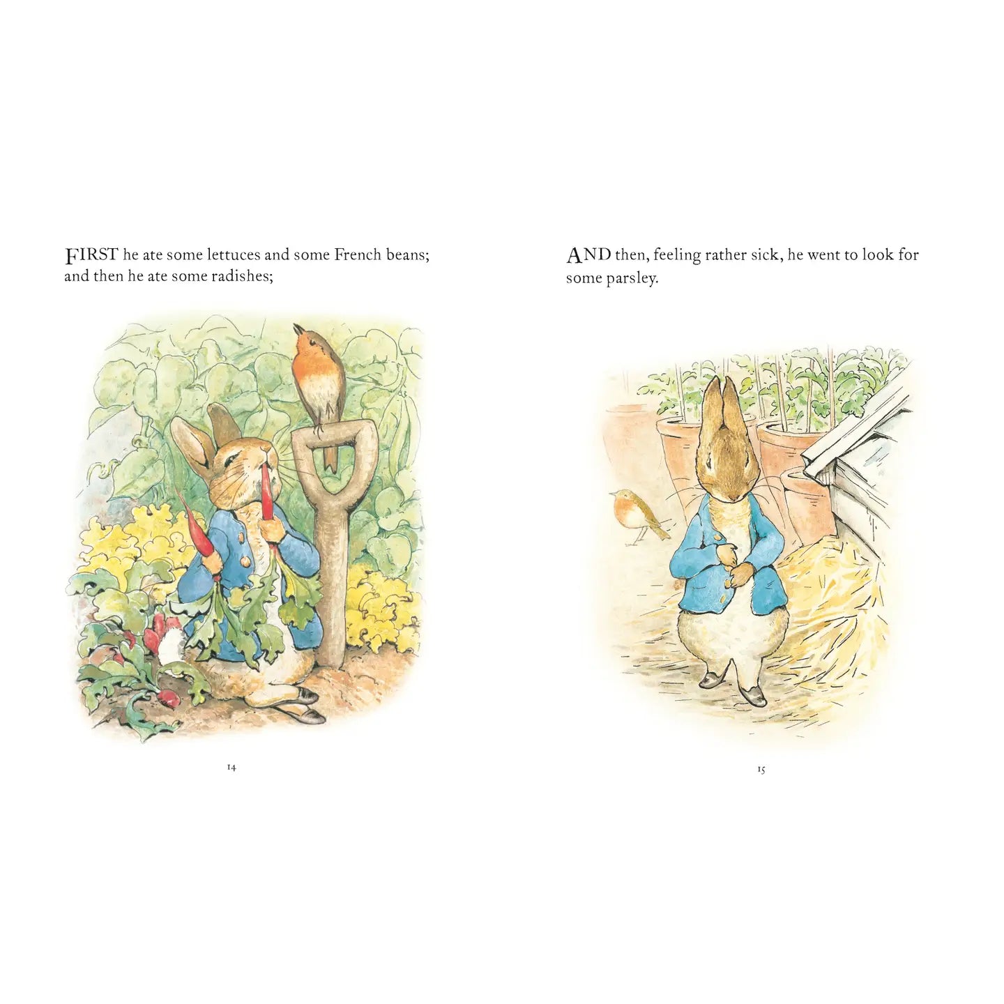 Penguin Random House LLC The Tale Of Peter Rabbit Book
