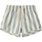 Rylee and Cru Swim Trunk - Green Stripe