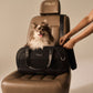 Dog sits in TAVO Pets Dupree II Carry-On Pet Car Seat - Onyx installed in vehicle seat