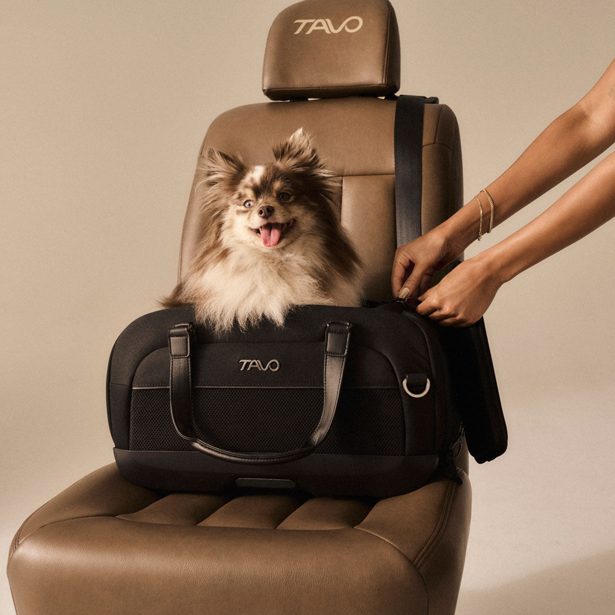 Dog sits in TAVO Pets Dupree II Carry-On Pet Car Seat - Onyx installed in vehicle seat