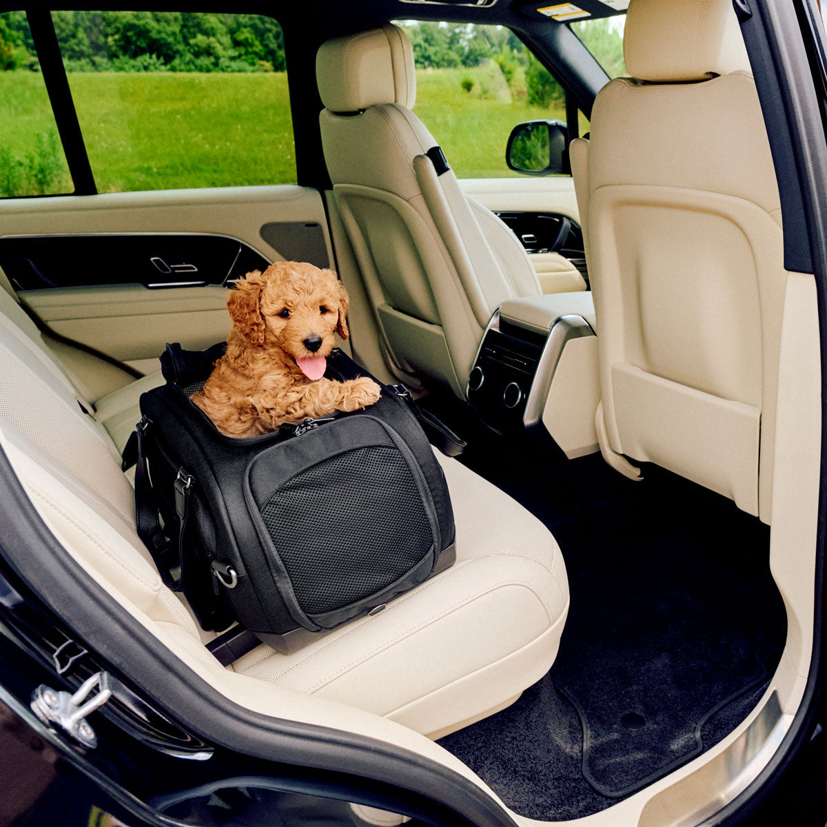 Puppy rides in TAVO Pets Dupree II Carry-On Pet Car Seat - Onyx installed in vehicle