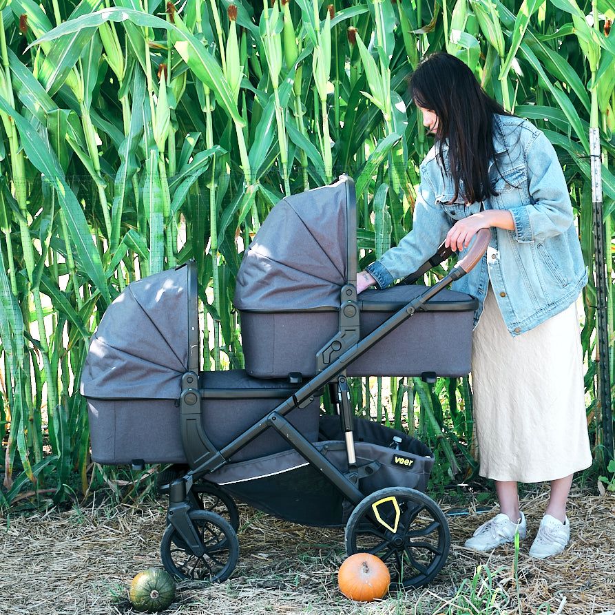 Veer Bassinet