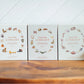 Penguin Random House LLC Our Little Library Vol. 3
