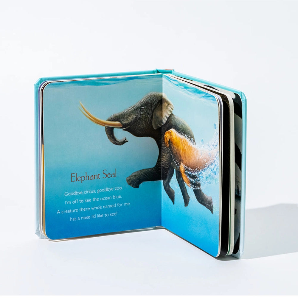 Penguin Random House LLC You Stole My Name Book