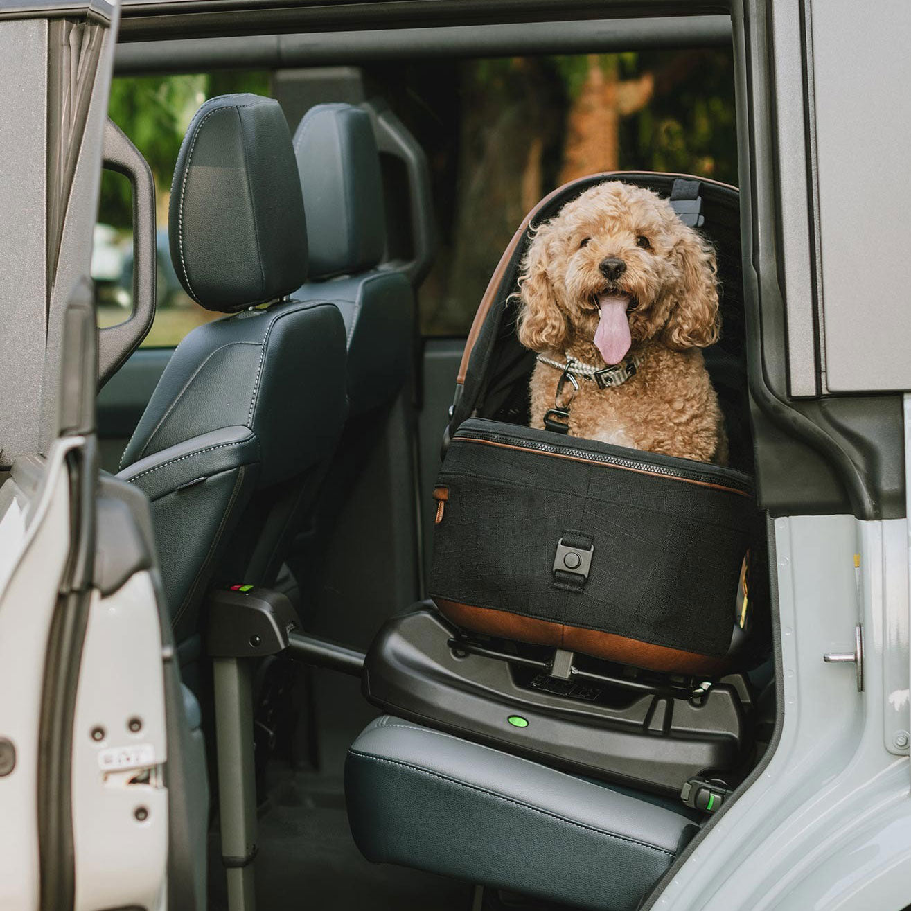 Dog sitting in vehicle of Tavo Maeve + Roscoe 3-in-1 Pet Protection System - Medium Rigid - Onyx