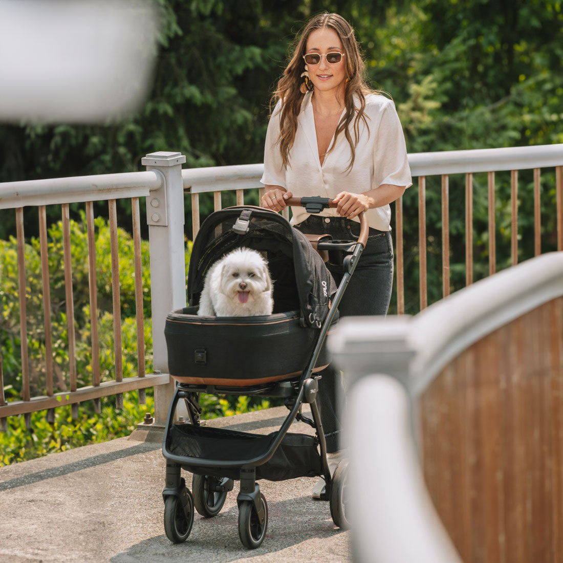 Woman pushing dog in Tavo Maeve + Roscoe 3-in-1 Pet Protection System - Medium Flex - Onyx