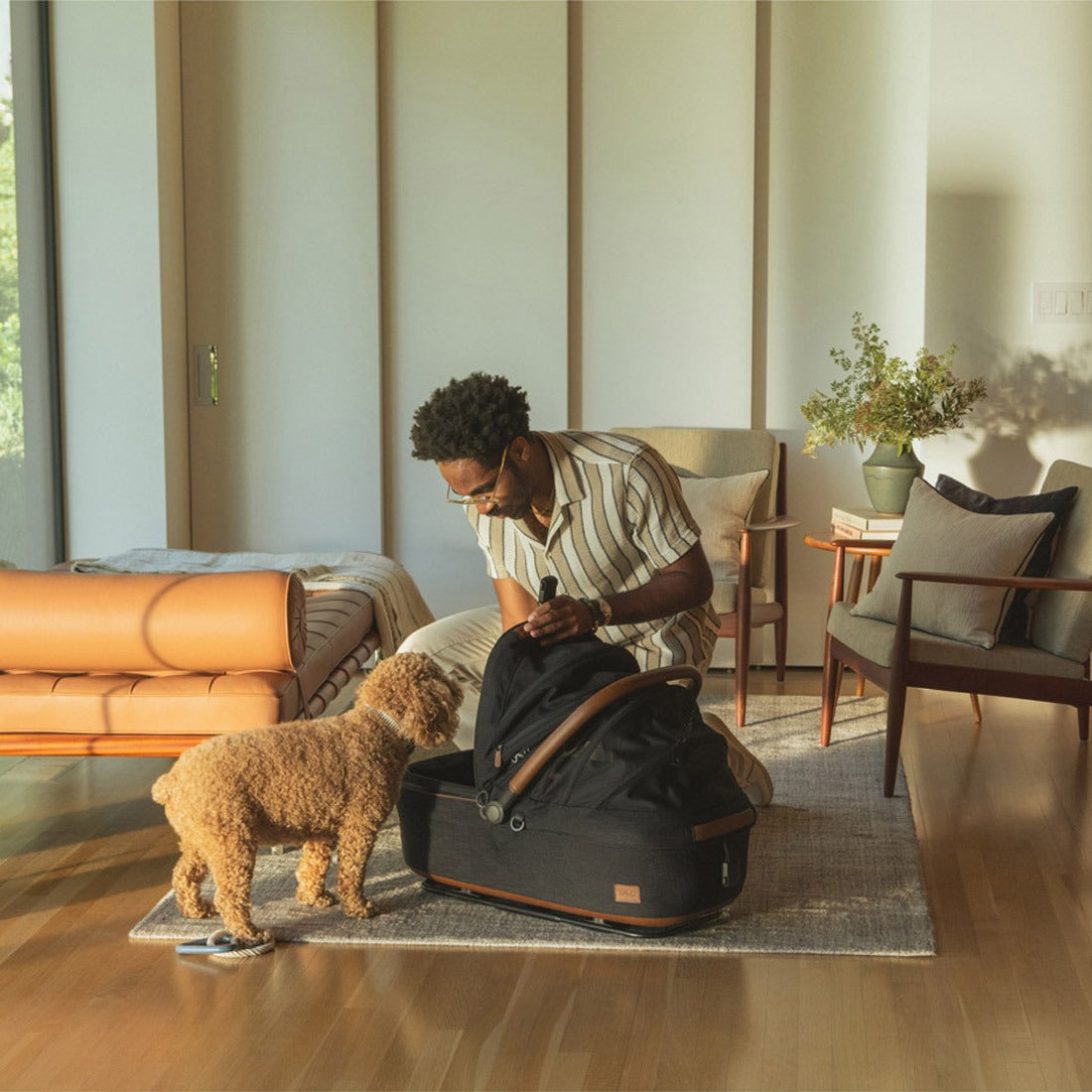 Dog standing next to Tavo Maeve Pet Car Seat - Medium Rigid - Onyx