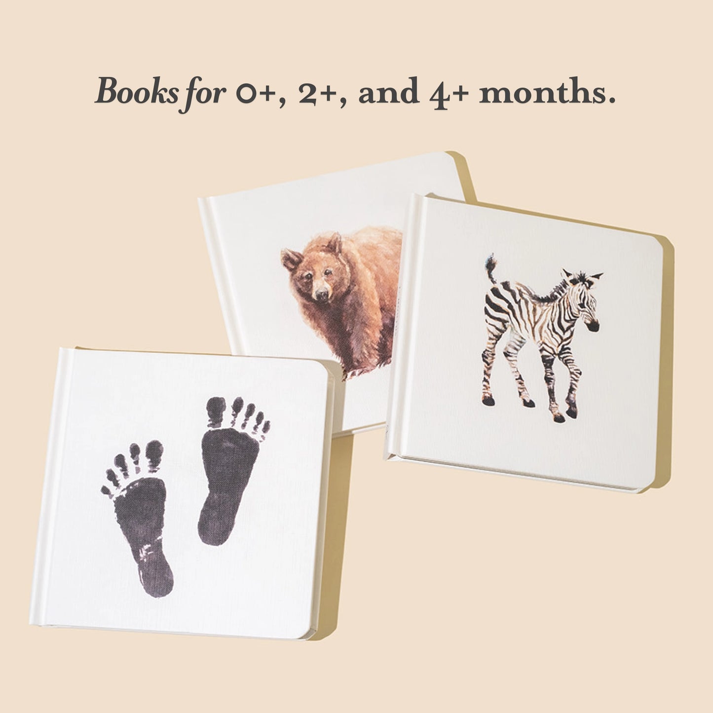 Penguin Random House LLC Babys Tummy Time Book Box Set