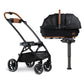 Tavo Maeve + Roscoe 3-in-1 Pet Protection System - Medium Rigid - Onyx