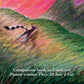 Chronicle Books Two Together Book